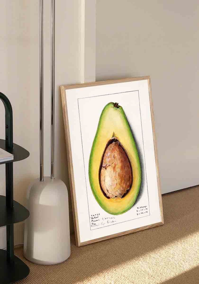 Vintage Avocado