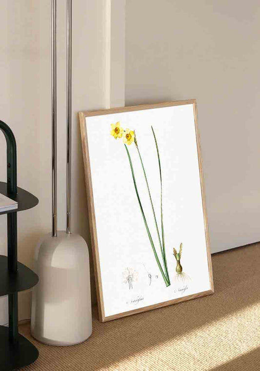 Vintage Daffodil Flower