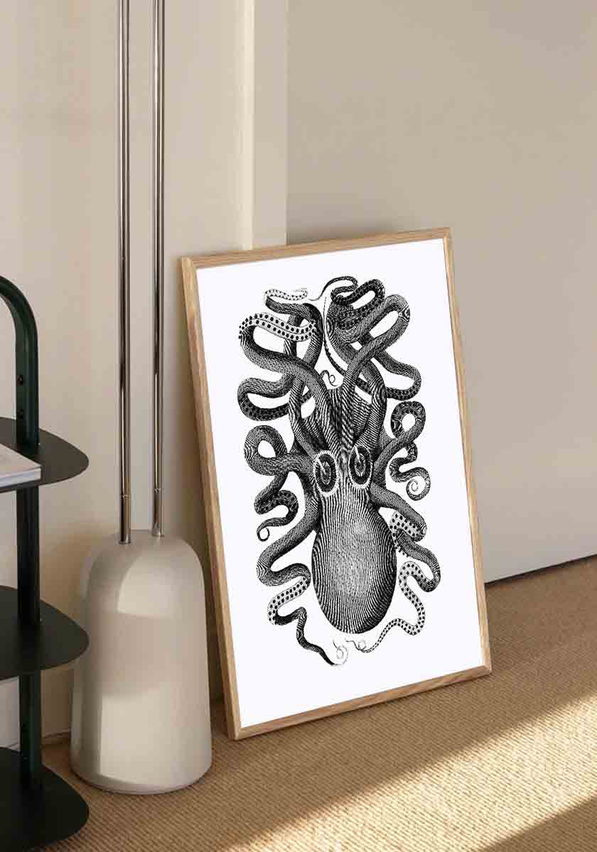 Octopus