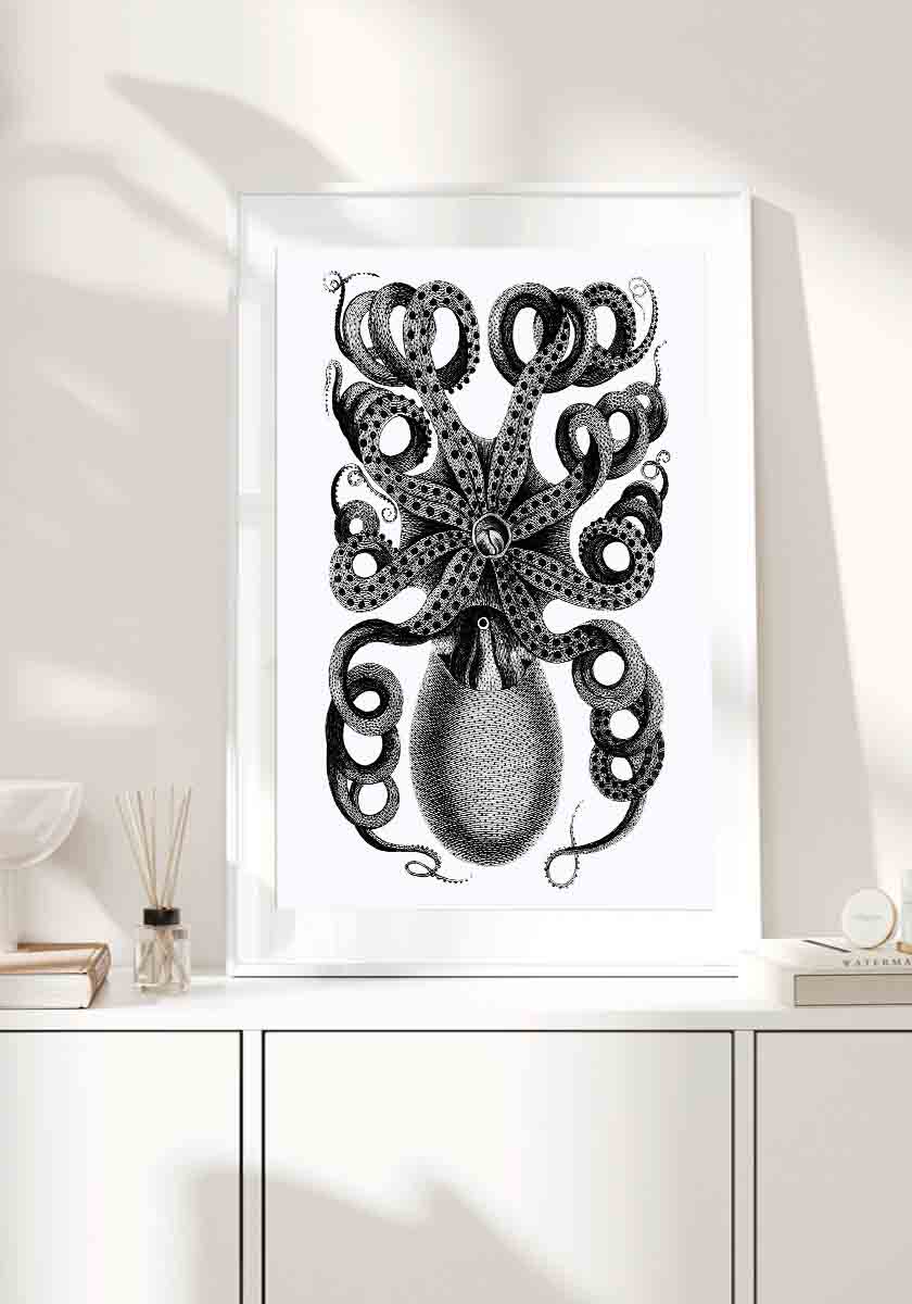 Octopus II