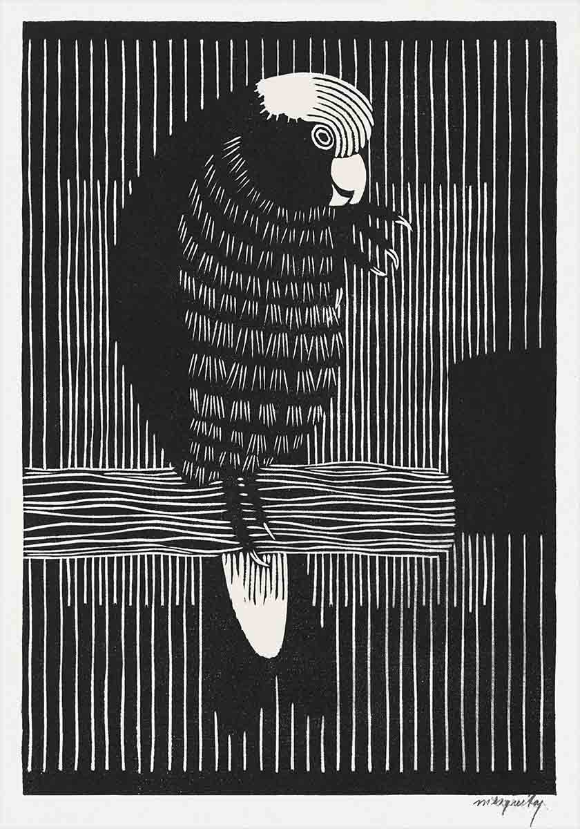 Parrot