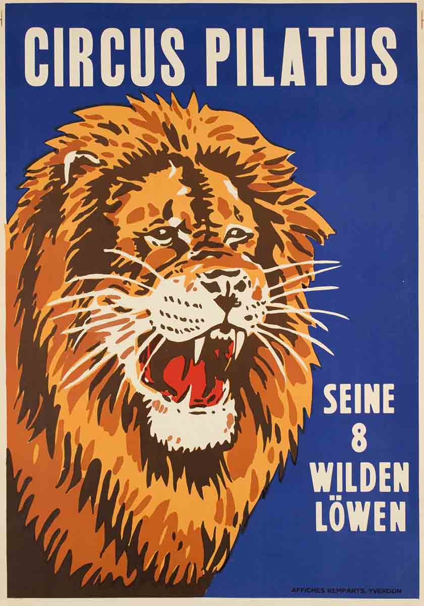 Circus Lion