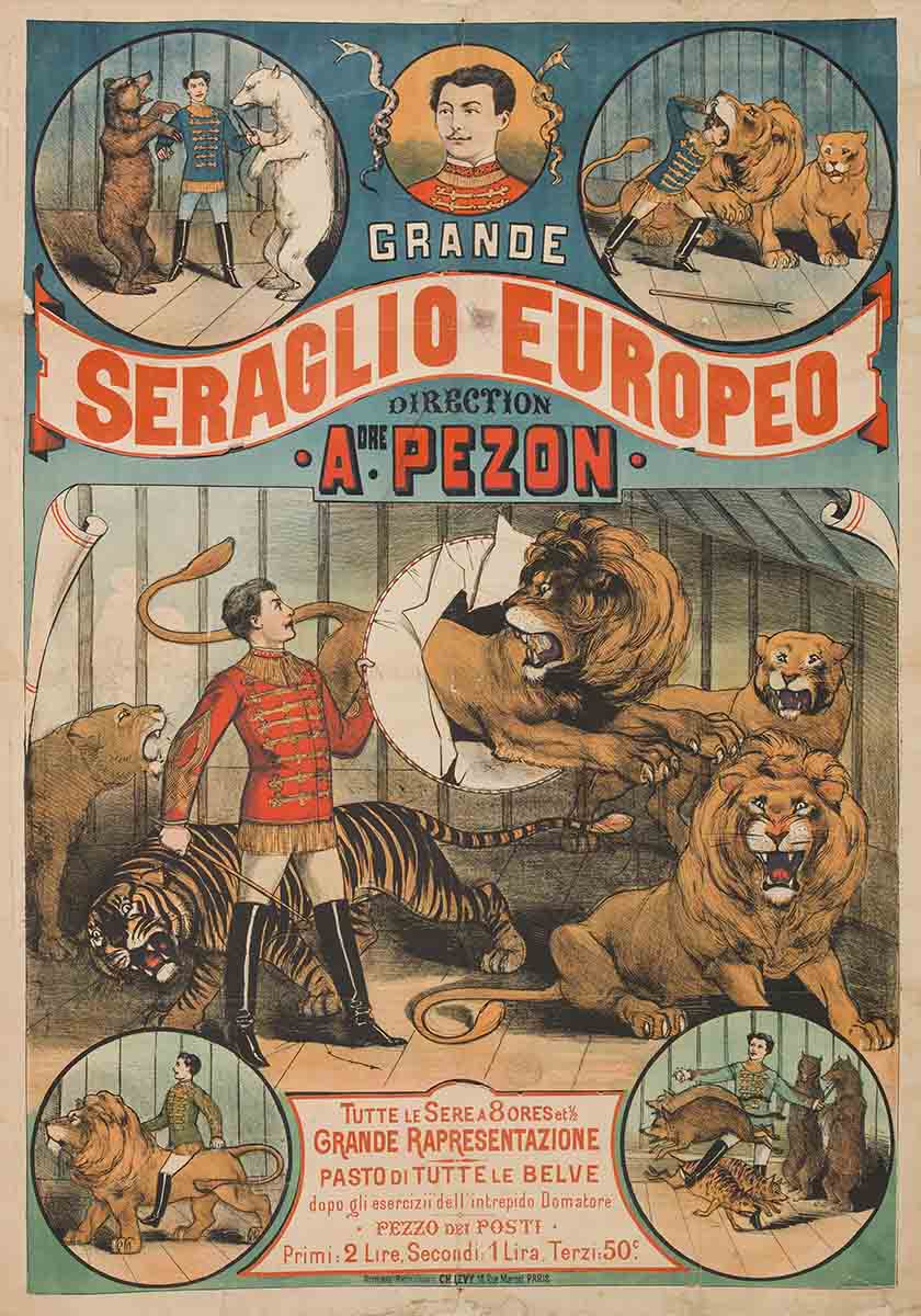 The Circus