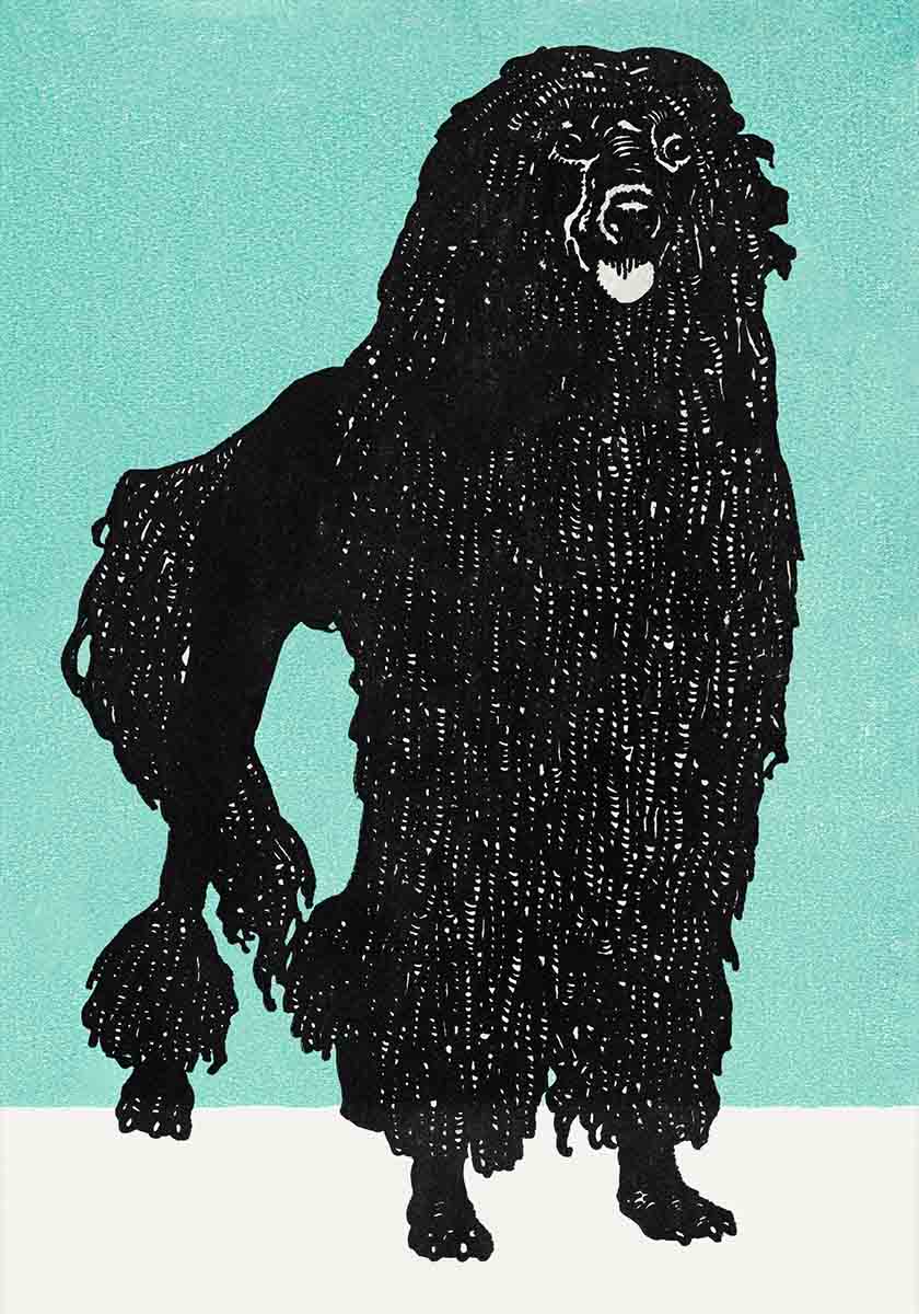 Poodle Print