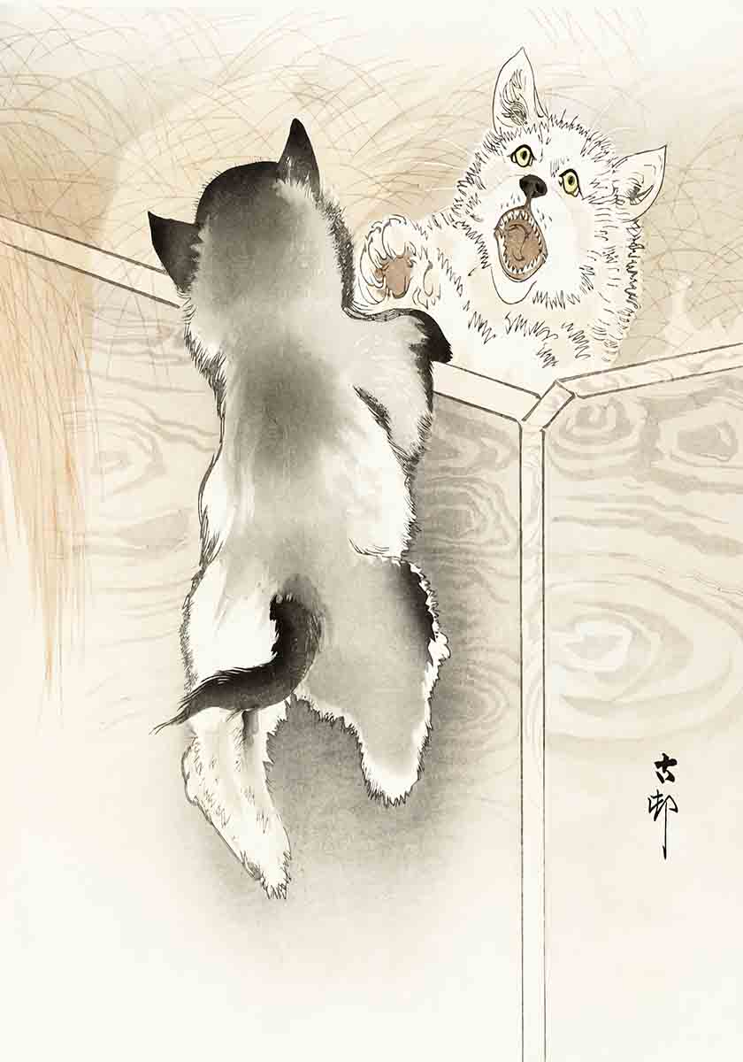 Japan Print Cats