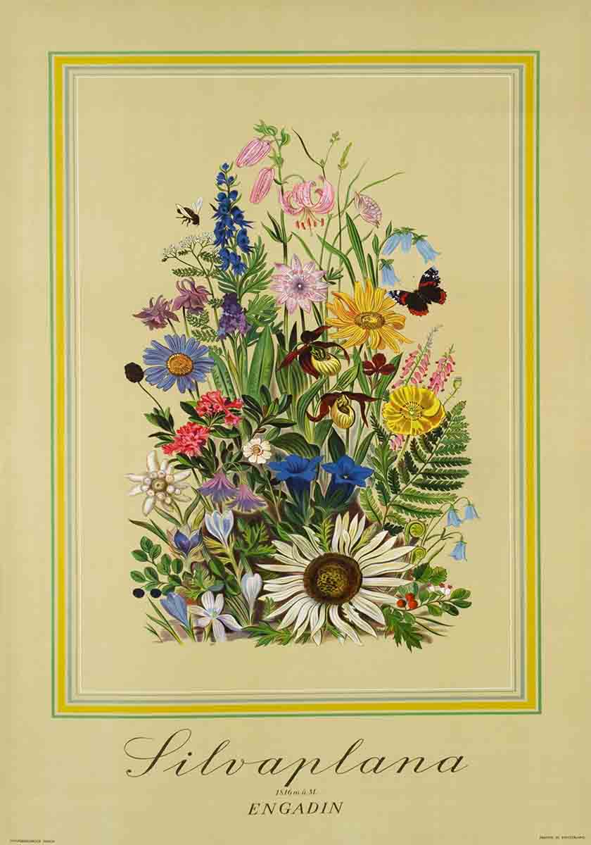 Vintage Flower Show