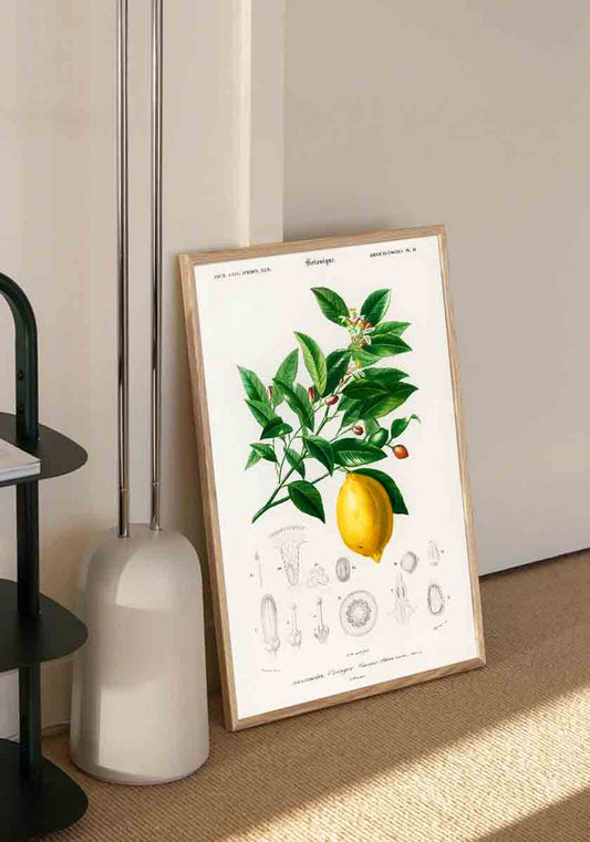 Vintage Lemon Tree
