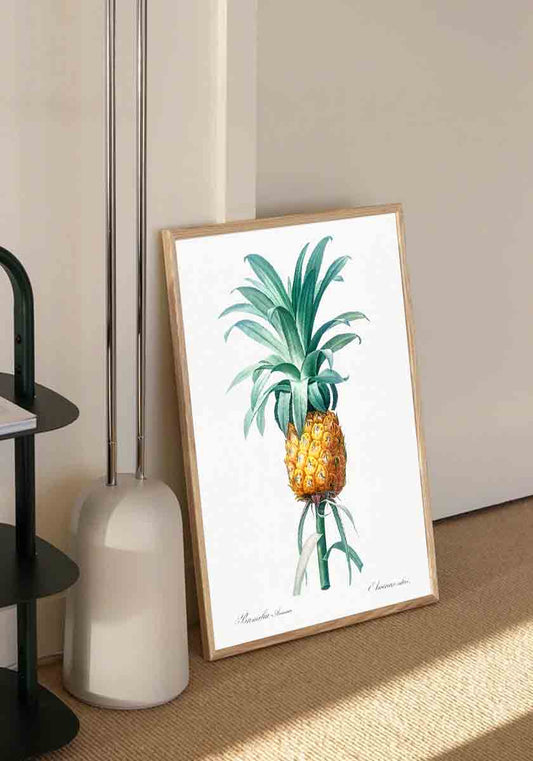 Vintage Pineapple