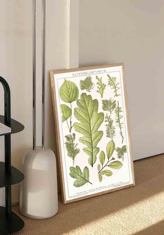 Vintage Leaf Print