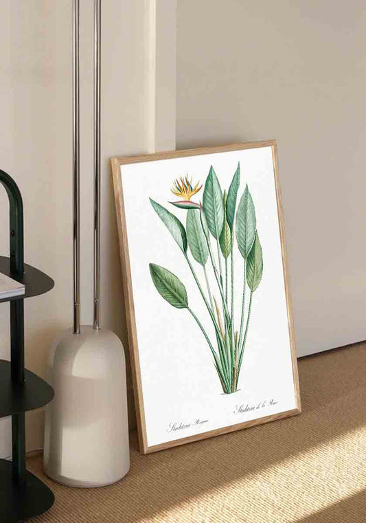 Vintage Bird of Paradise