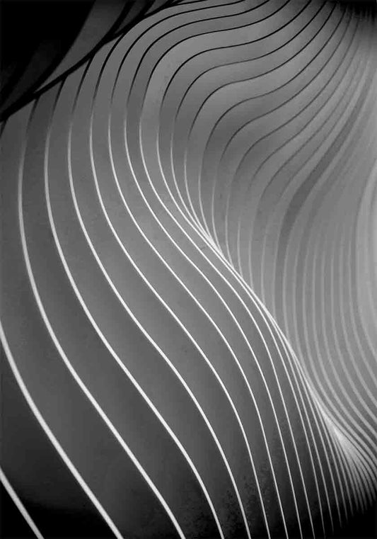 Black and White Abstract II