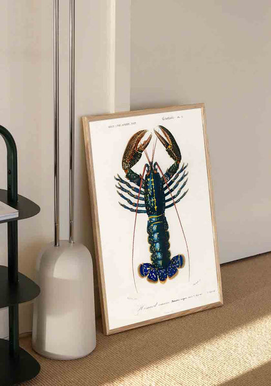 Blue Lobster