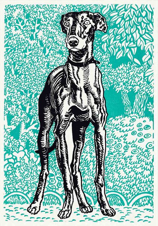 Greyhound Print