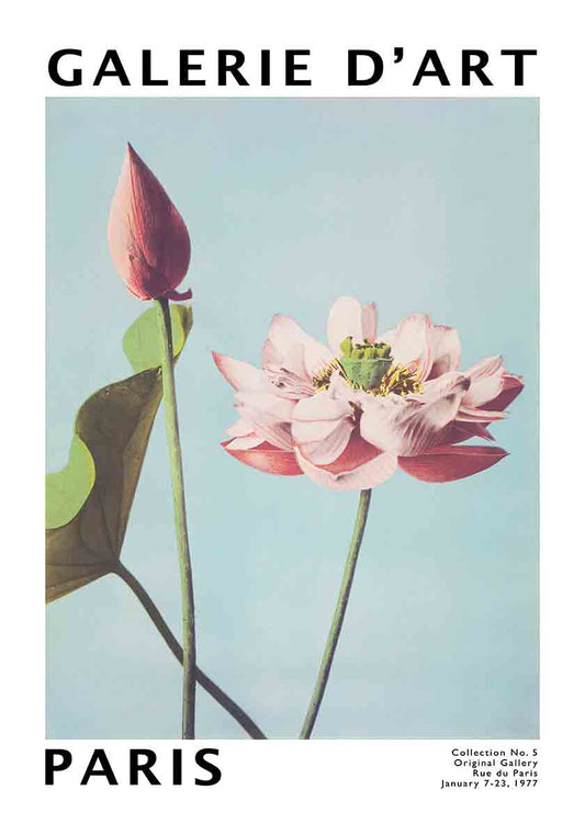 Floral Exhibition Poster